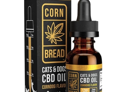 best cbd oil for dogs with seizures Cornbread Full Spectrum Hemp Oil