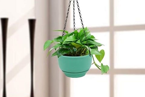 green self-watering planter hanging indoors
