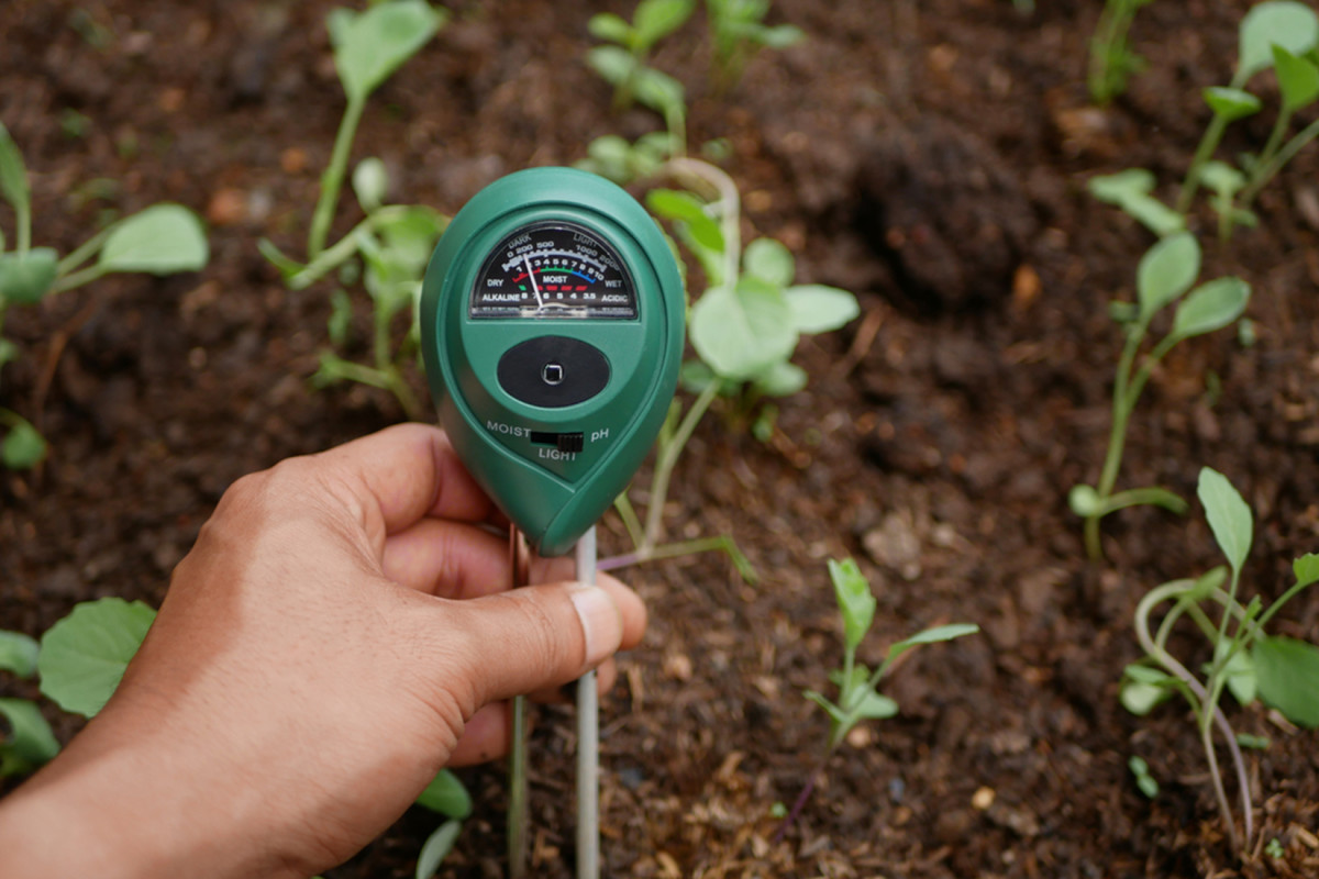 The 8 Best Plant Moisture Meters of 2023