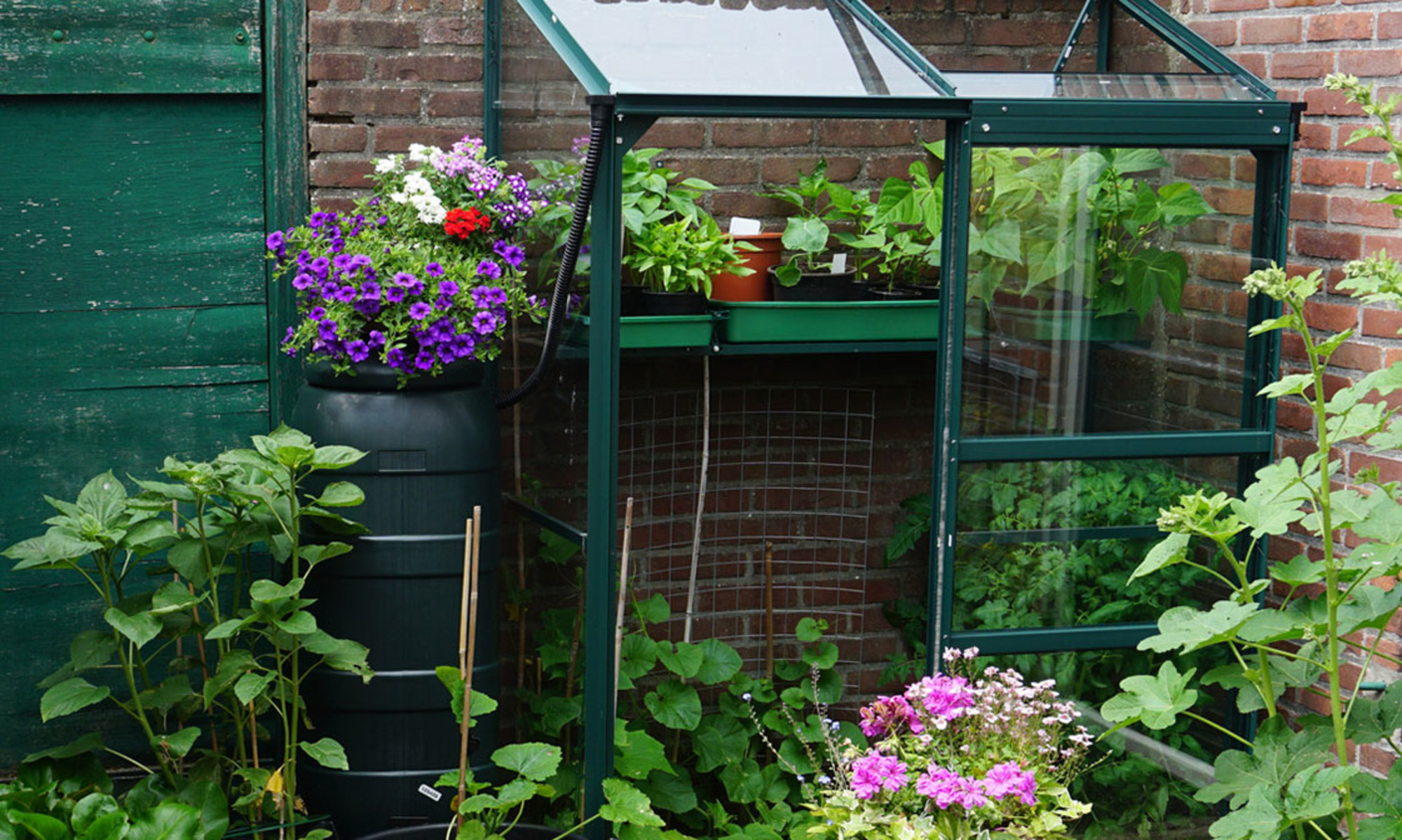 9 Best Mini Greenhouses For Your Plants In 2022 | mindbodygreen