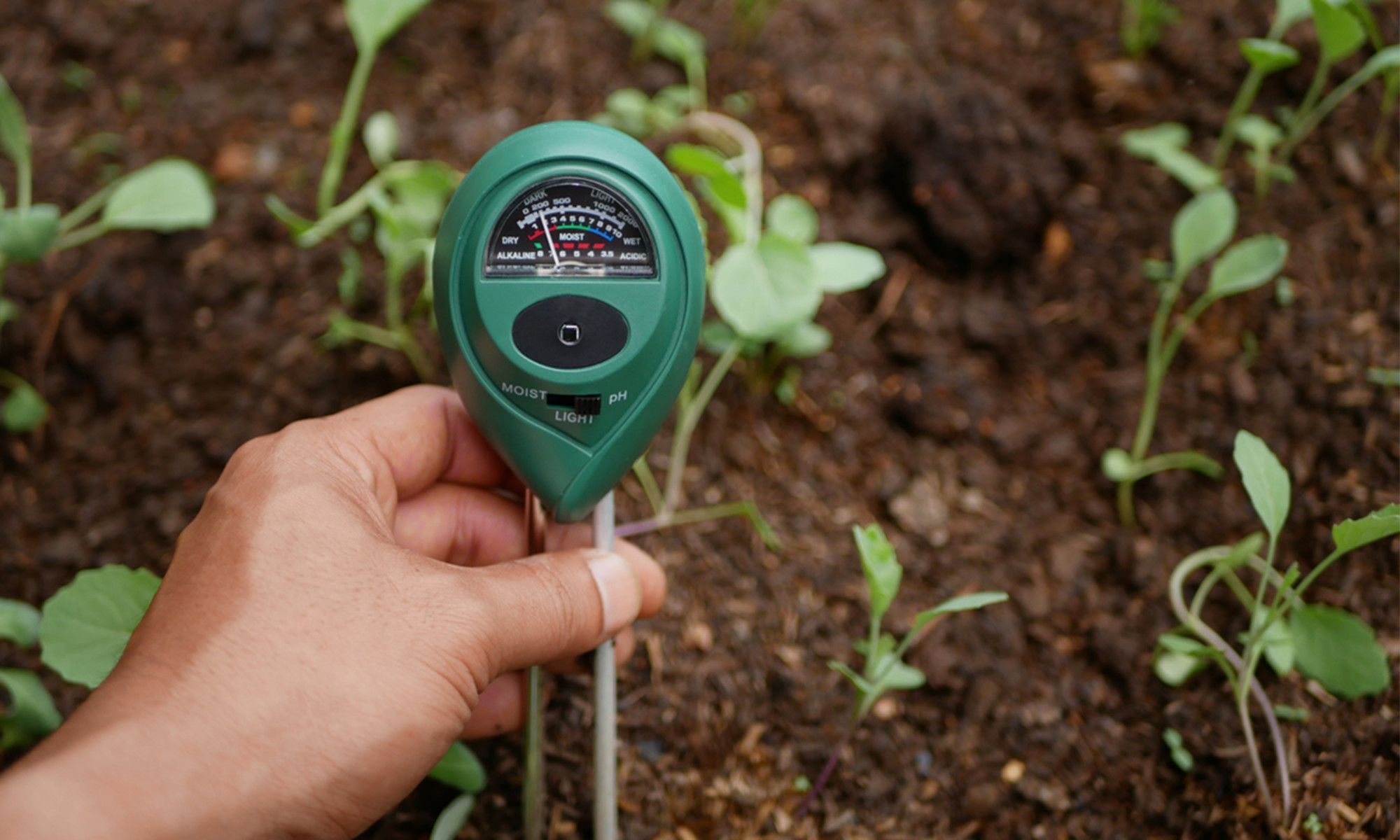 Soil Moisture Meter Temperature Humidity Tester Home Lawn Plants Soil  Moisture Meter Outdoor Humidity Sensor Humidity Meter Tool