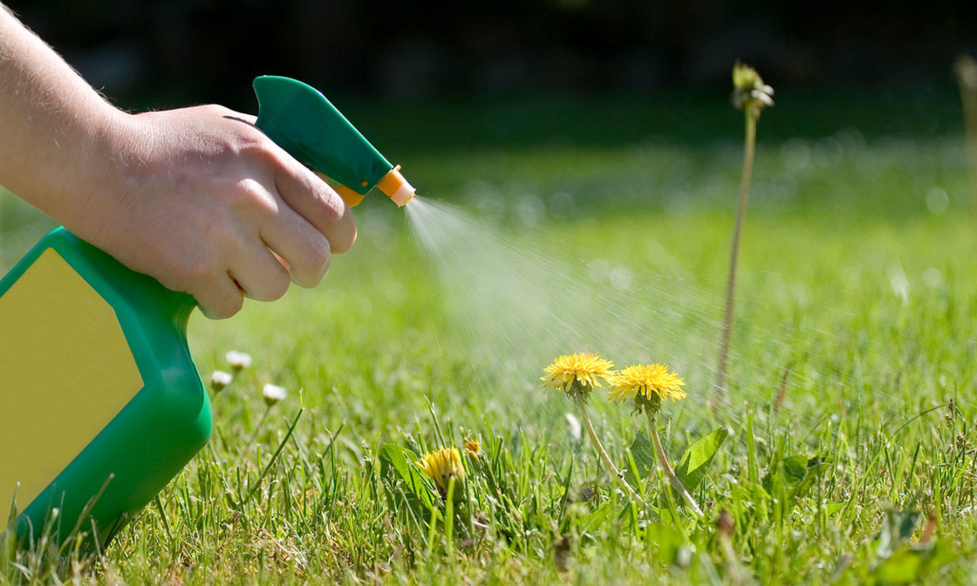 Garden pesticide outlet