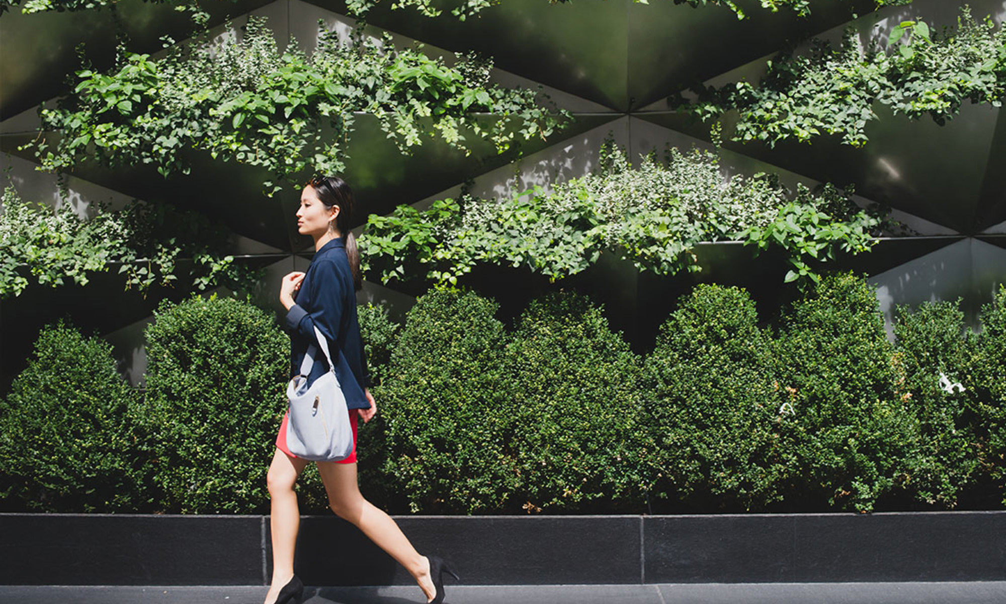 The Temper-Lifting, Energizing Results Of mbg’s Focus Complement*