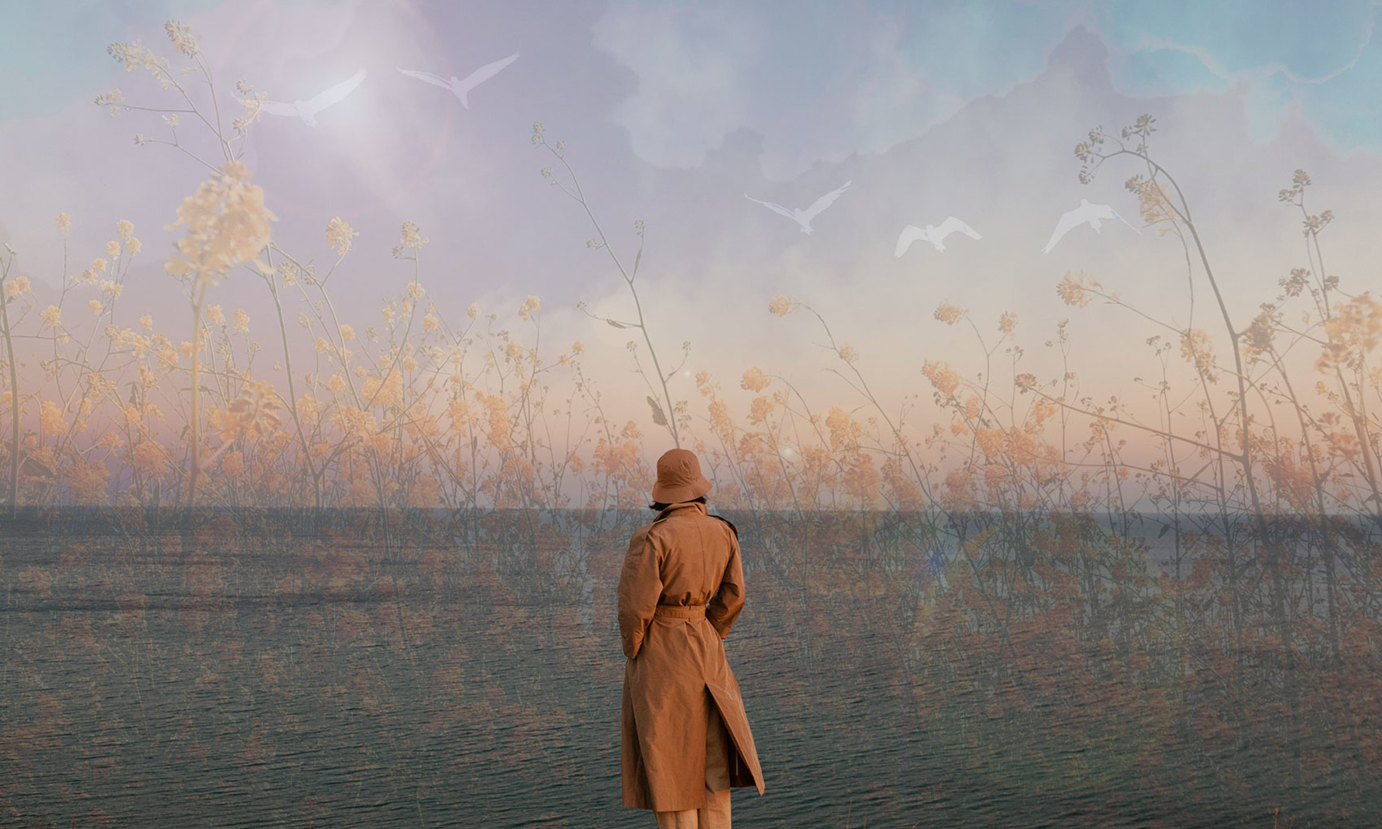 13 Signs From The Universe + How To Interpret What The Message Is 13 Signs From The Universe + How To Interpret What The Message Is