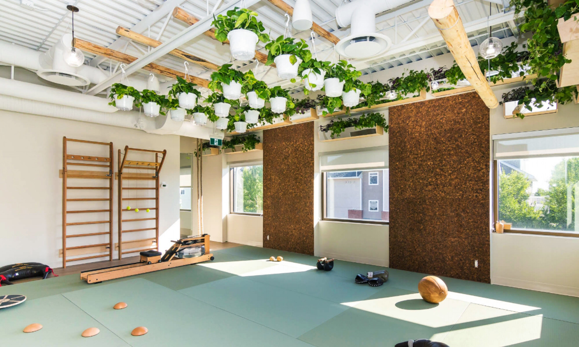 Best sustainable gym equipment brands — wellness spaces + gym