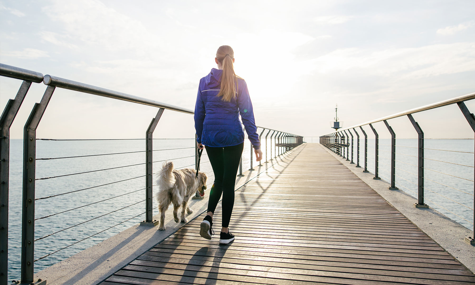 How Often You Should Exercise To Support Your Memory As You Age