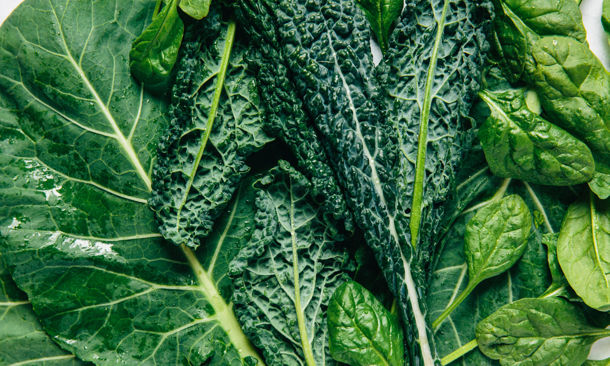 List of Spring Greens : Kale, Spinach, Bok Choy : Food Network