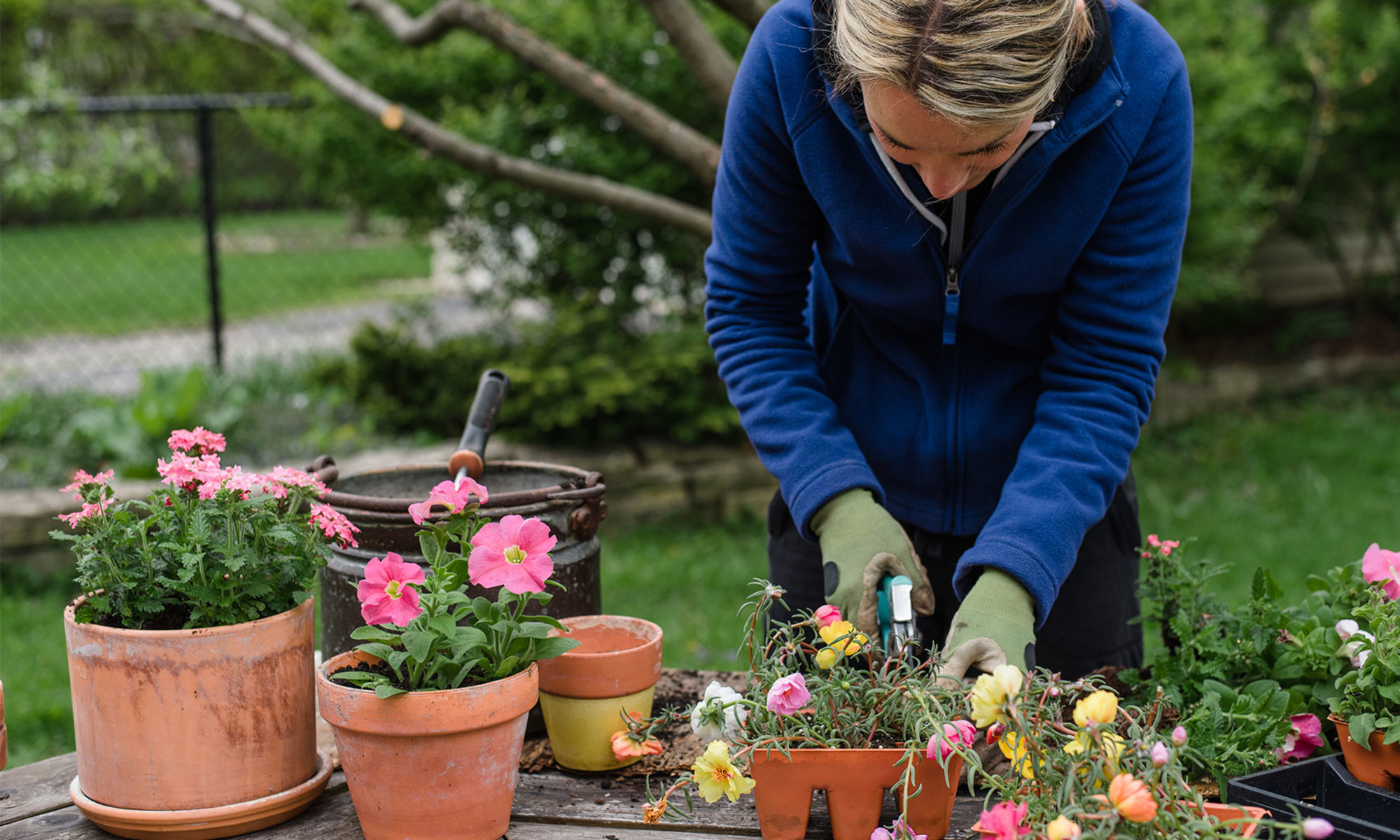 Embracing the Home Garden: Cultivating a Bounty of Benefits