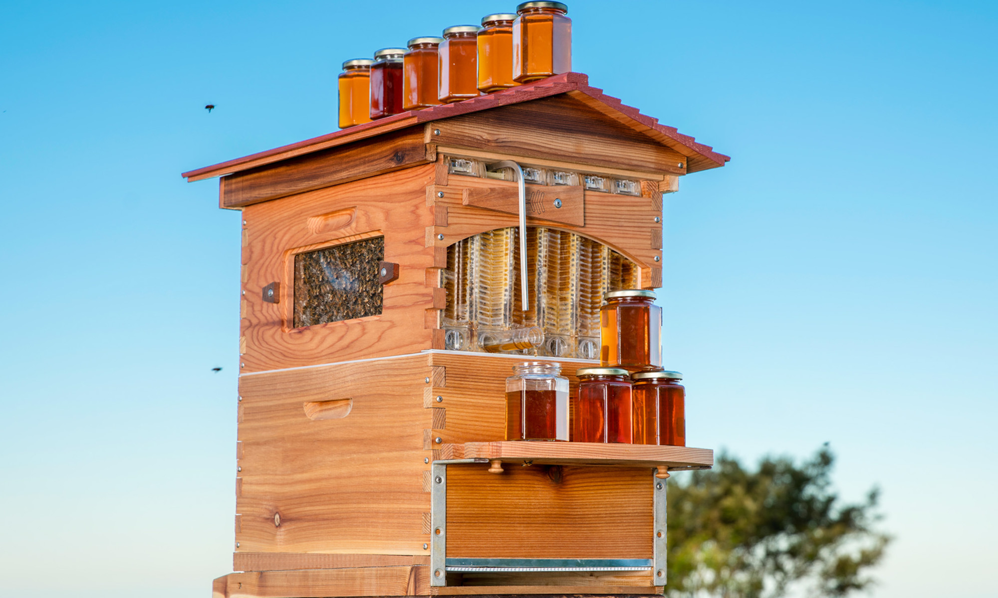 Flow Hive: What It Is, How It Works + Pro Tips On How To Use It |  mindbodygreen