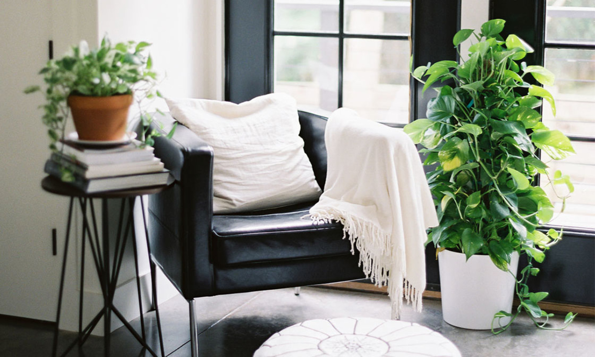 10 Easy Ways To Cleanse Your Home of Negative Energy | mindbodygreen