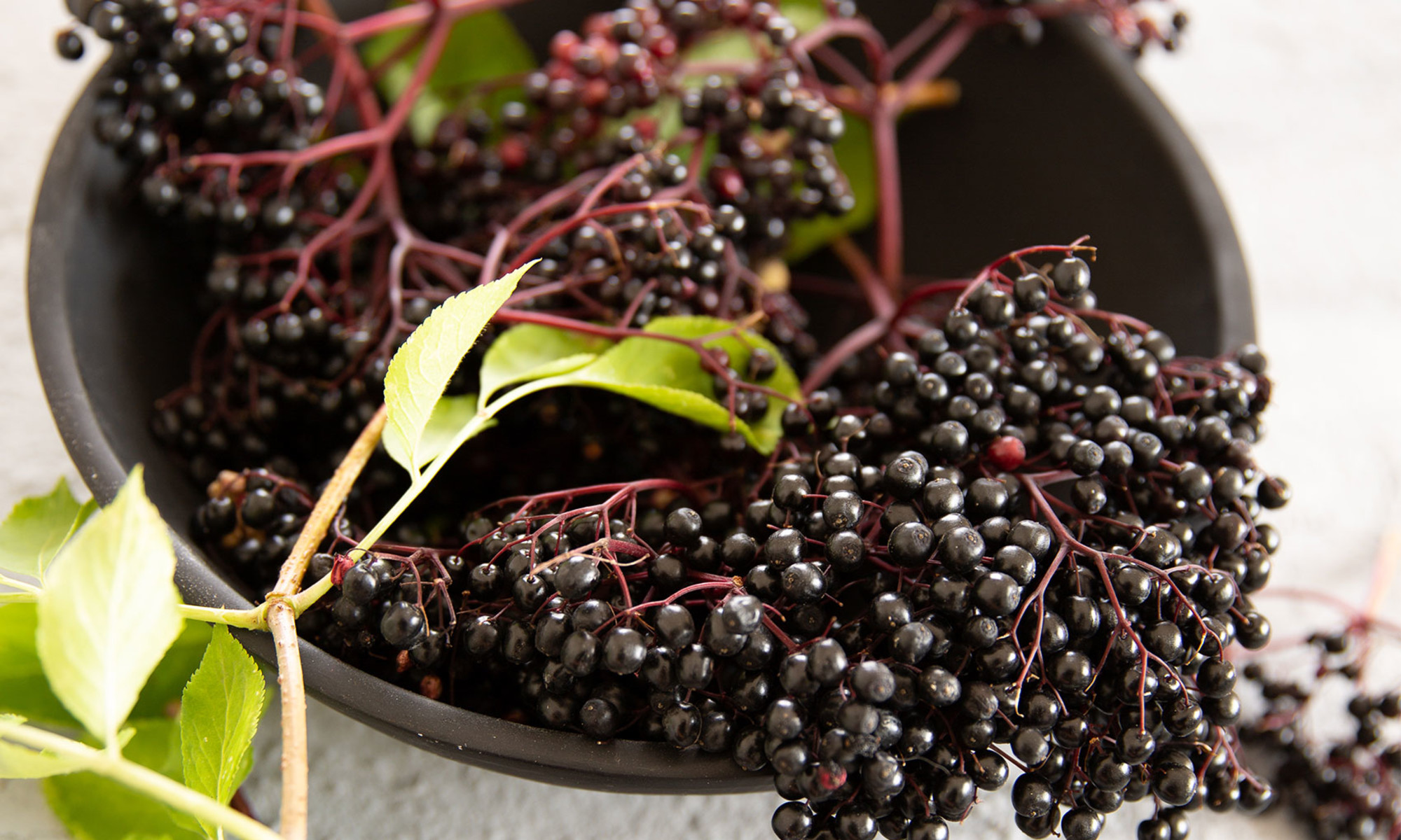 5 Science-Backed Elderberry Benefits & How To Use The Fruit
