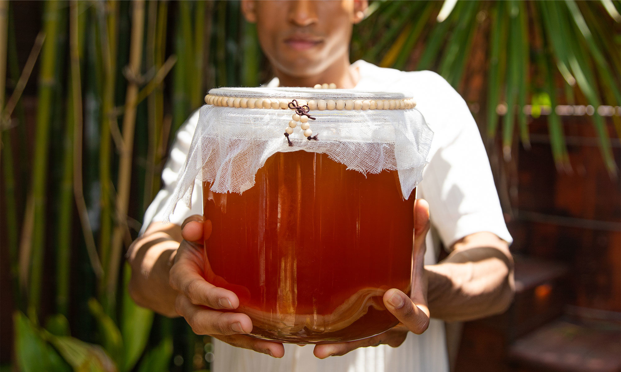 Not All Kombucha Is Brewed Equally... How To Tell If Yours Is The Real Deal