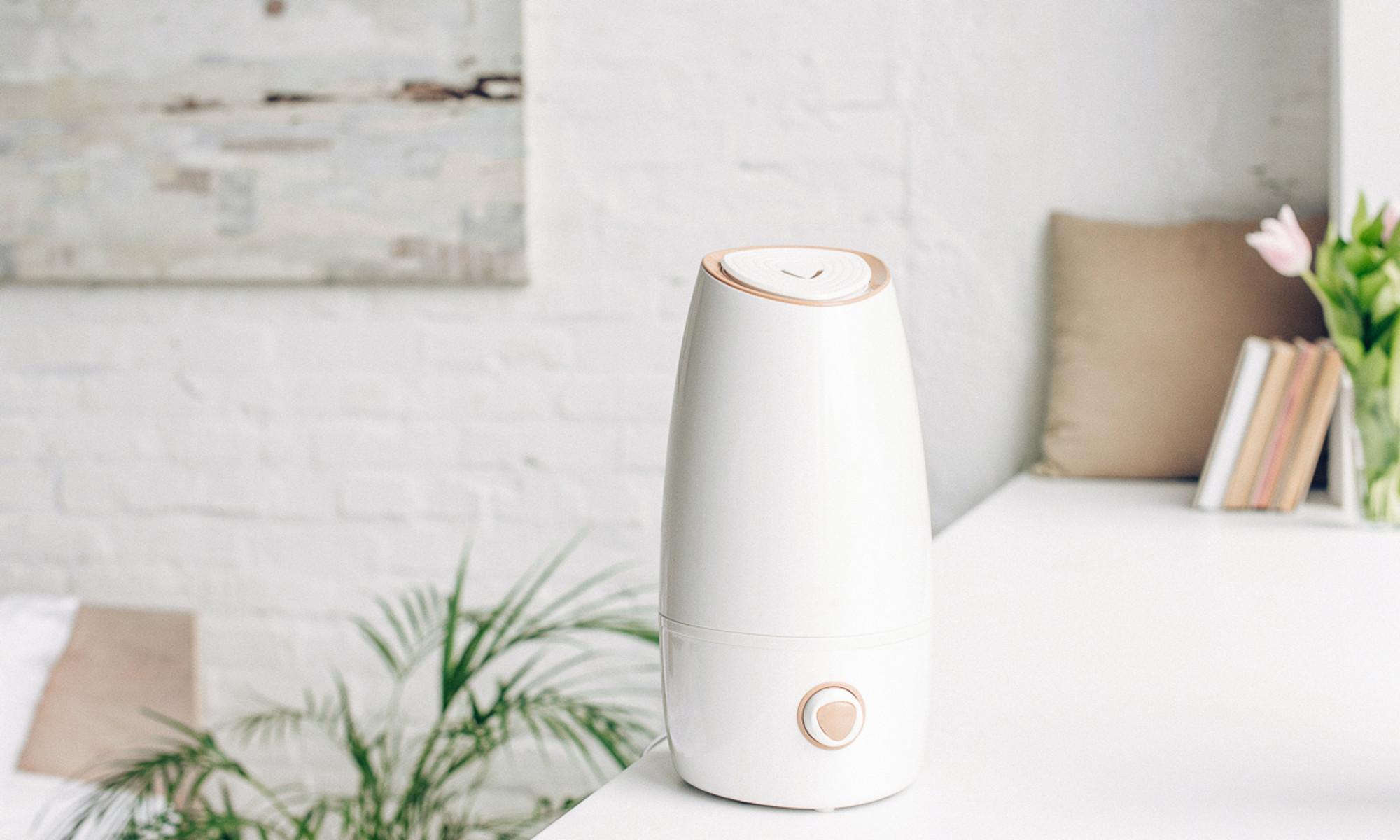 How to Clean a Humidifier and Why You Need To — Disinfect a Humidifier