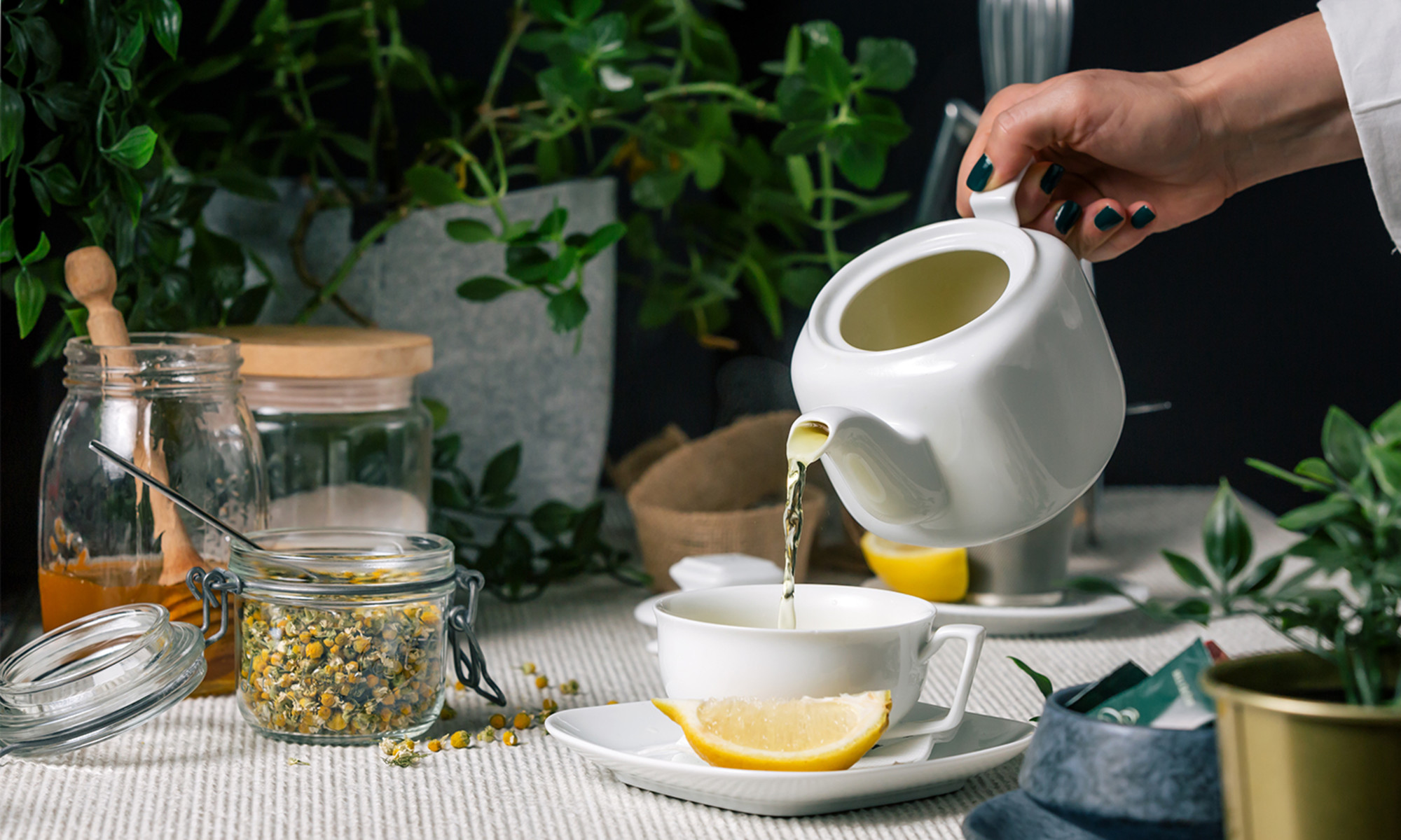 7 Herbal Infusion Tea Benefits You Need to Know