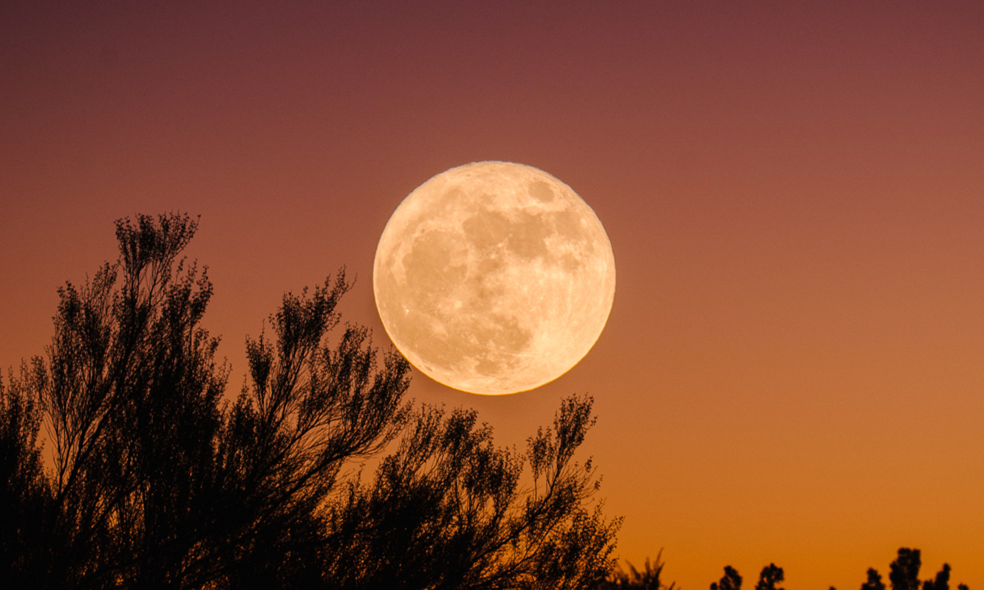 15 Full Moon Rituals To Try Yourself + Tips To Make Them More Effective, From Experts