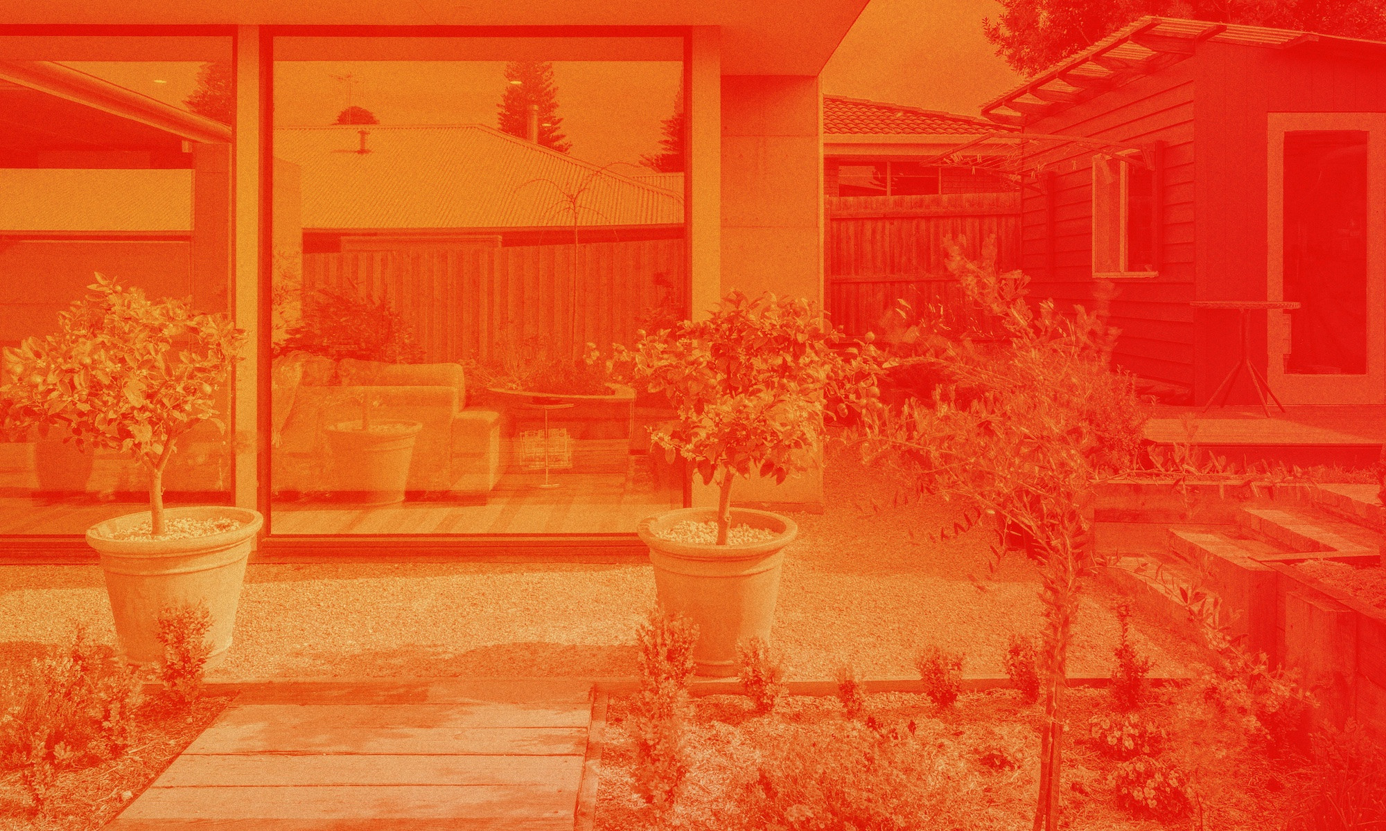 Grass Isn't Always Greener: Why Wildlife-Friendly Gardening Is On The Rise