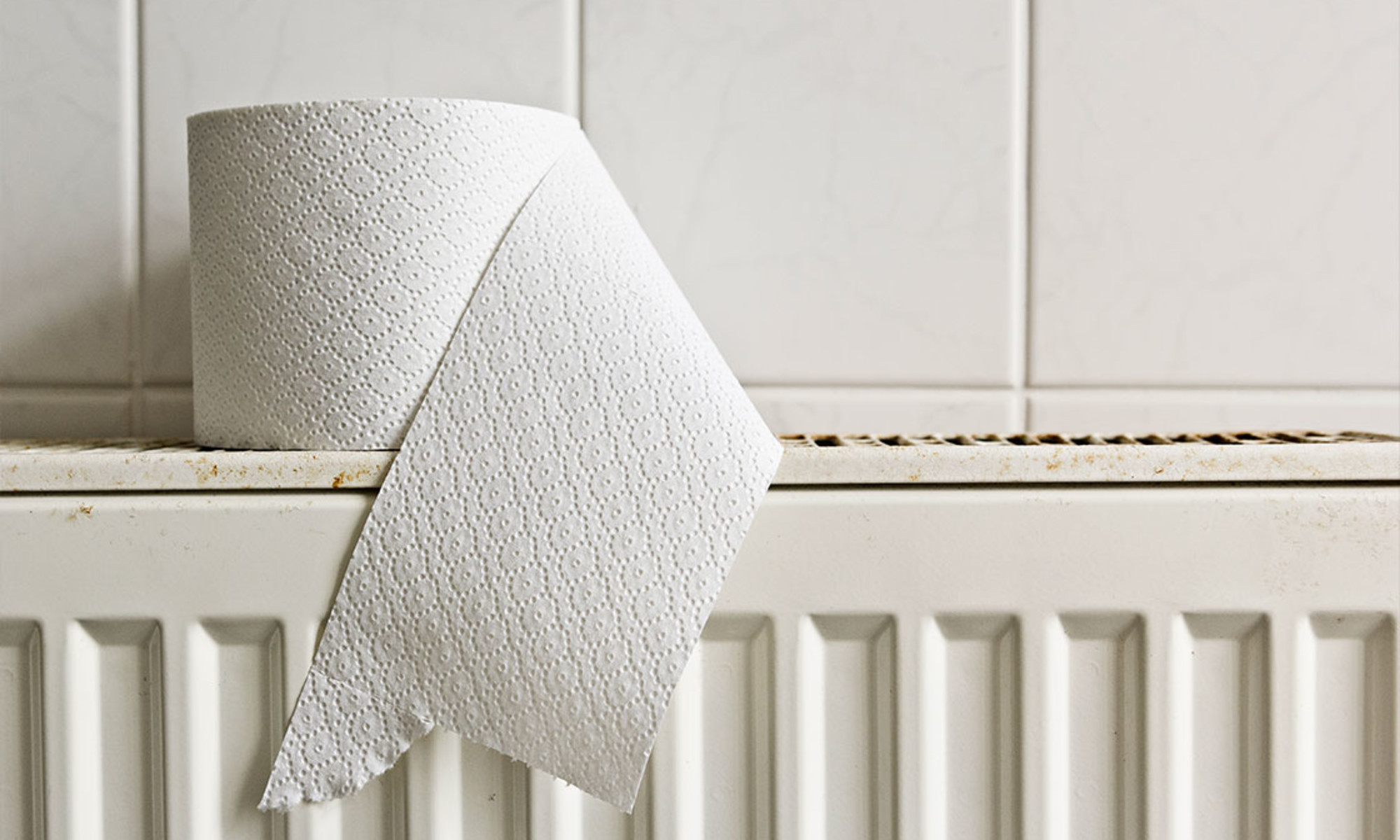 The One Probiotic That's Helping People Poop Regularly & Beat Bloat*