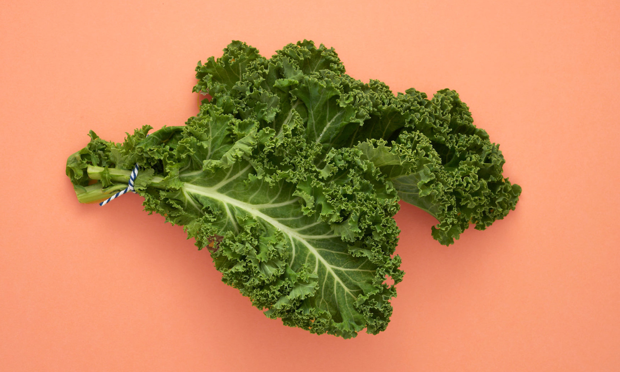 Is Kale Potentially Toxic? Here's Everything You Need To Know