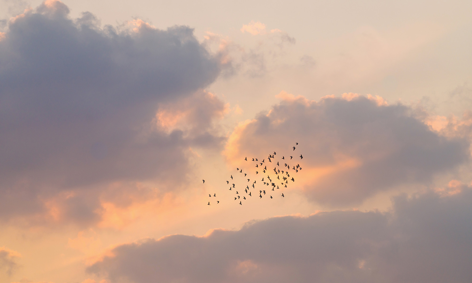 Picking Up Binoculars Could Change Your Brain For The Better