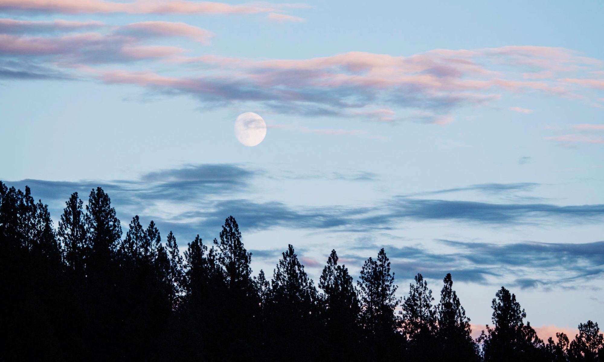 The First Full Moon Of 2026 Is In Most cancers—Here is What To Know