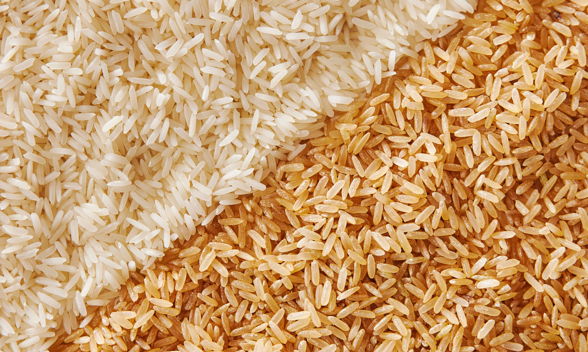 Give It To Me Straight — Is Brown Rice That Much Better Than White?