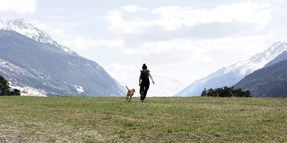 Image of Thinking Of Trying "Fresh Pet Food"? This Brand Takes Healthy To The Next Level