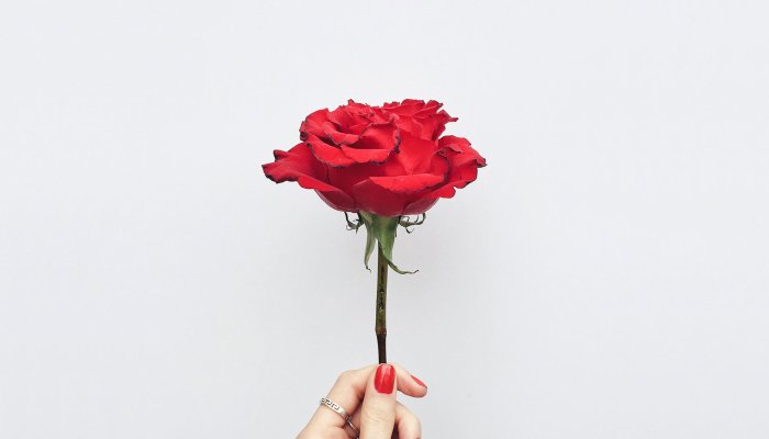 The Gift-Giving Love Language, Explained: Meaning & FAQs ...
