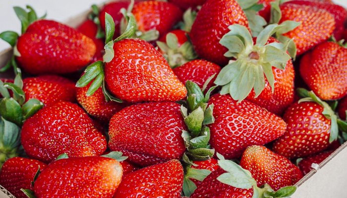 Strawberries Support Cognition & Heart Health, New Research Shows – SKCD