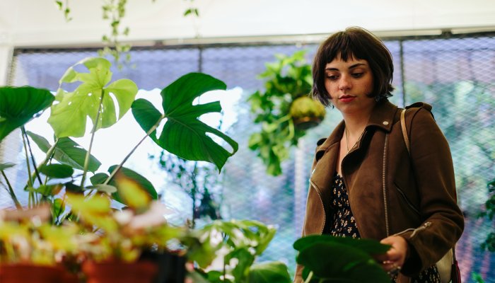 Houseplant Experts Have Spoken: These Are The Plants Even They Avoid 1