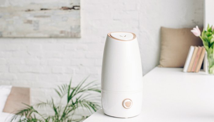 How To Thoroughly Clean Your Humidifier (Because It's Probably Time) 1