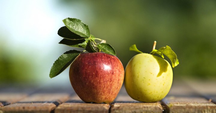 This Is The Best Kind Of Apple To Eat For Weight Loss Mindbodygreen