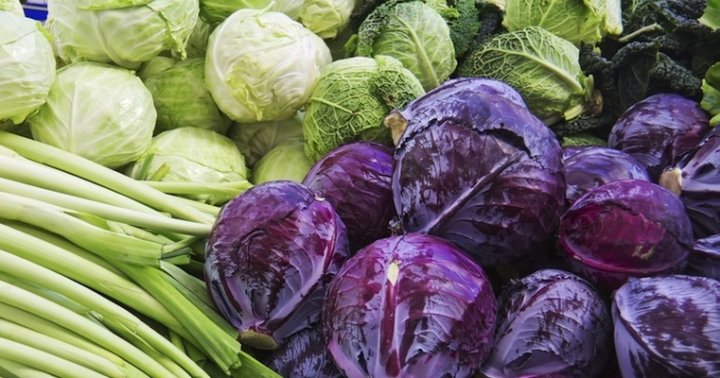 10 Foods To Fight Candida Mindbodygreen