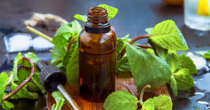 Top Essential Oils to Keep Your House Smelling Fresh