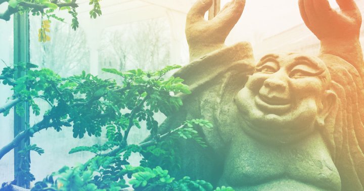 3 Zen Principles That Will Rock Your World (And Make You Happier!)