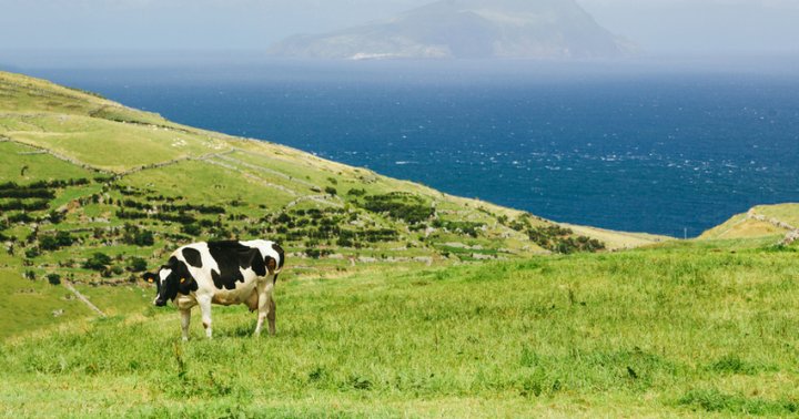 The Meat Labels You Actually Need To Pay Attention To - mindbodygreen