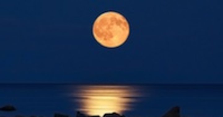 Full Moon Harness The Energy Make It Work For You 