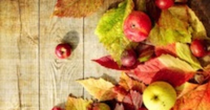 6 Thanksgiving Recipes For Gratitude Mindbodygreen