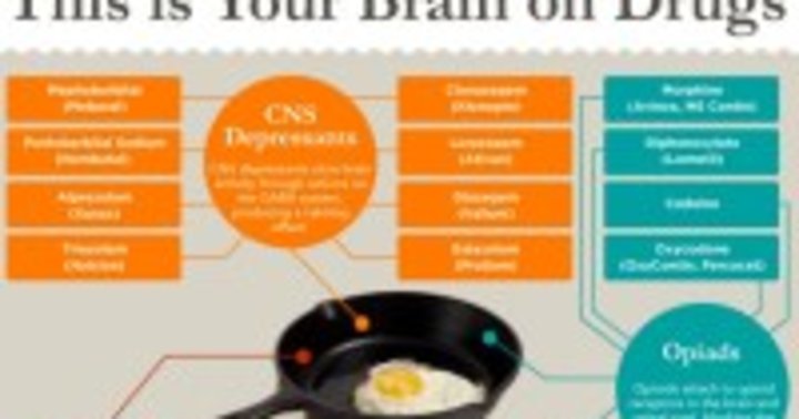 Your Brain On Prescription Drugs Infographic Mindbodygreen 