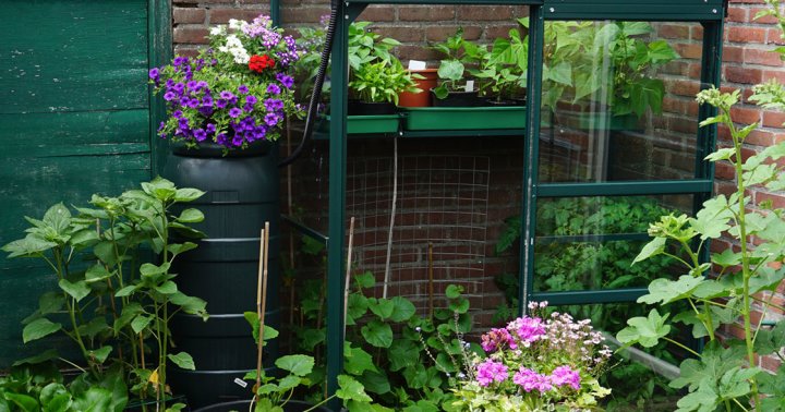 9 Best Mini Greenhouses For Your Plants In 2022