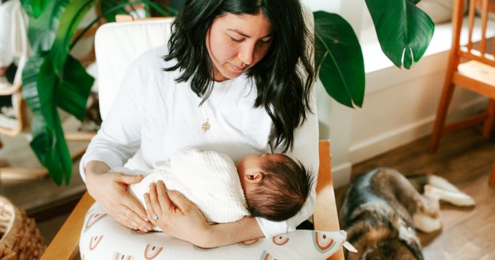 Your Complete Guide To Postpartum Nutrition Healing Foods More