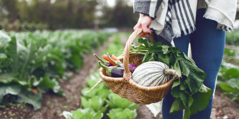 6 Foods To Eat Every Day For A Long Life