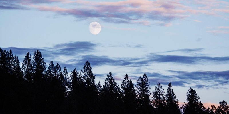 Does A Full Moon Affect People A full moon occurs when the sun in taurus forms an opposition to the moon in scorpio. does a full moon affect people