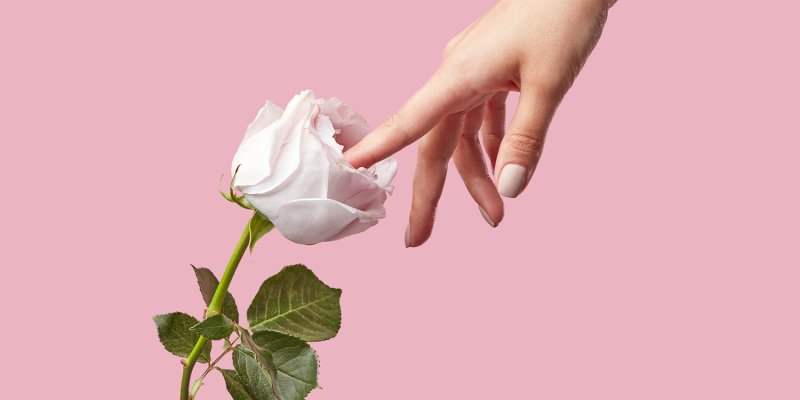 The Rose Sex Toy: How It Works, Where To Buy It + More | mindbodygreen