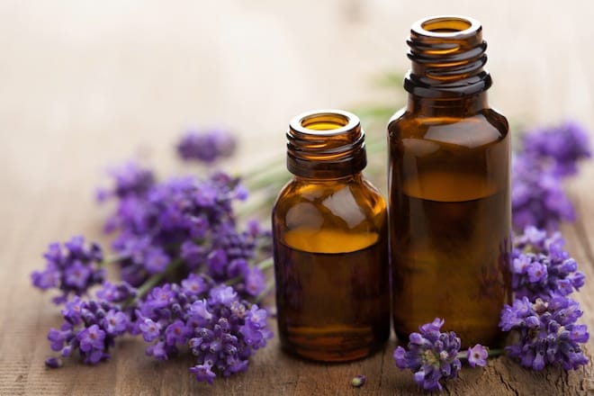 Image result for Lavender Essential Oil