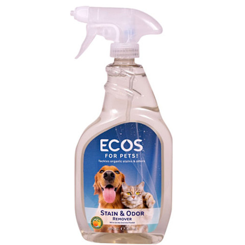 enzyme cleaner in clear bottle with blue label enzyme cleaner in clear bottle with blue label