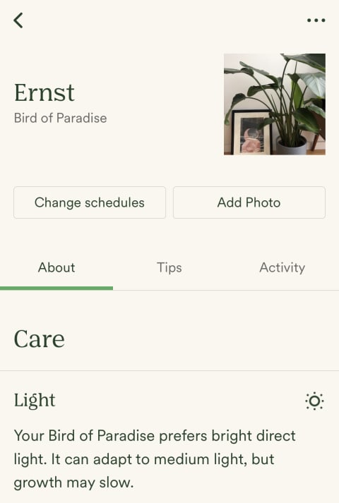 Vera by Bloomscape app screenshot