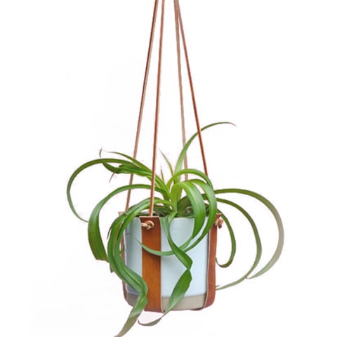 leather plant hanger with white pot and houseplant