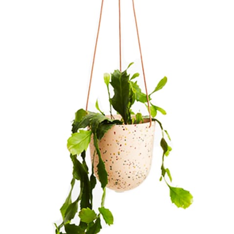 speckled hanging planter with plant