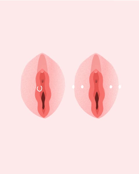 Image showing two types of labia piercings.