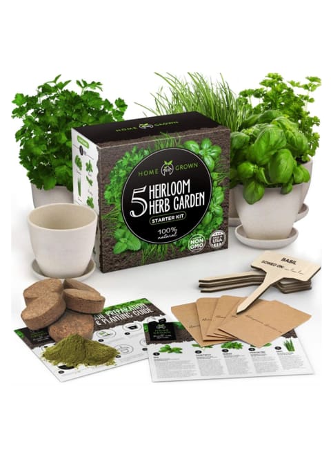 HomeGrown herb garden kit